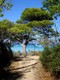 porquerolles la plage d'argent