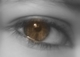 Mon oeil ;)