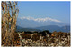 Canigou - 66