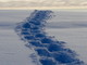 Marcher dans la neige