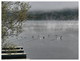 Lac au Saumon le matin