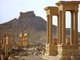 palmyre syrie