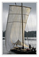 Voile de loire 2