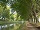 Canal du midi: ombre salutaire
