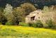 Paysage de Provence - Merindol