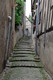 la ruelle