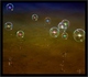 les bulles.....