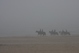 Les cavaliers de la brume