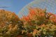 Montr�al en automne 1