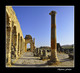 VOLUBILIS