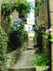 Ruelle fleurie