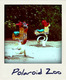 Polaroid Zoo