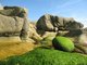 c�te Morbihannaise