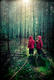 Les freres jumeaux du petit Chaperon Rouge