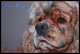 Peinture canine
