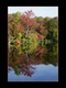 Reflet d'automne
