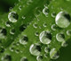  Droplets 3D 