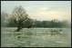 loire en hiver