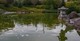 Jardin Japonais