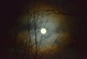 pleine lune