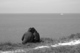 Les amoureux du cap Blanc Nez