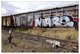 SNCF - - - Graffiti  #1