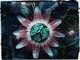 Passiflore