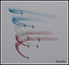 Patrouille de France en entra�nement