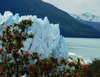 Patagonie , glacier Périto Moreno (3)