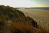 La dune