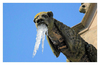 Gargouille aux dents de glace