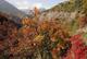 Automne en Is�re