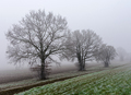 Brouillard � Bellegarde