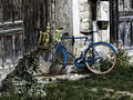 La bicyclette bleue 